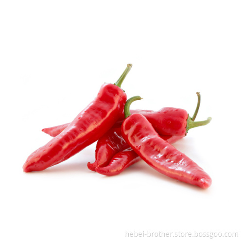 Paprika